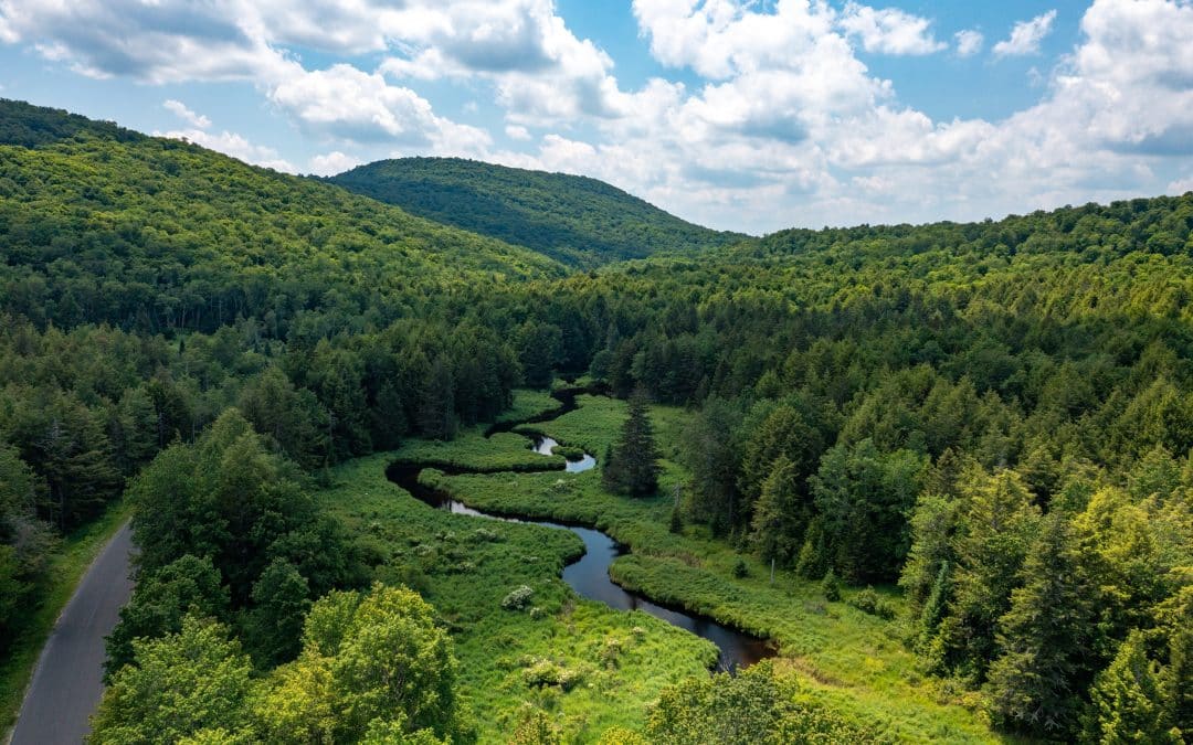 Conservation Group Buys 3,100-Acre New York Forest Parcel for $6.2 Million