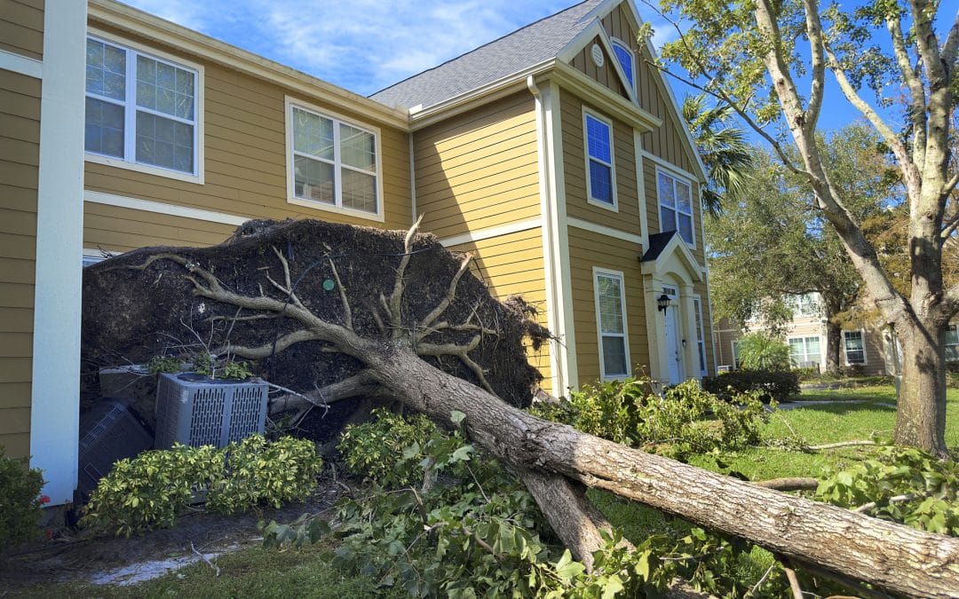 Hits and Misses for the Real Estate Week of Aug. 18-22