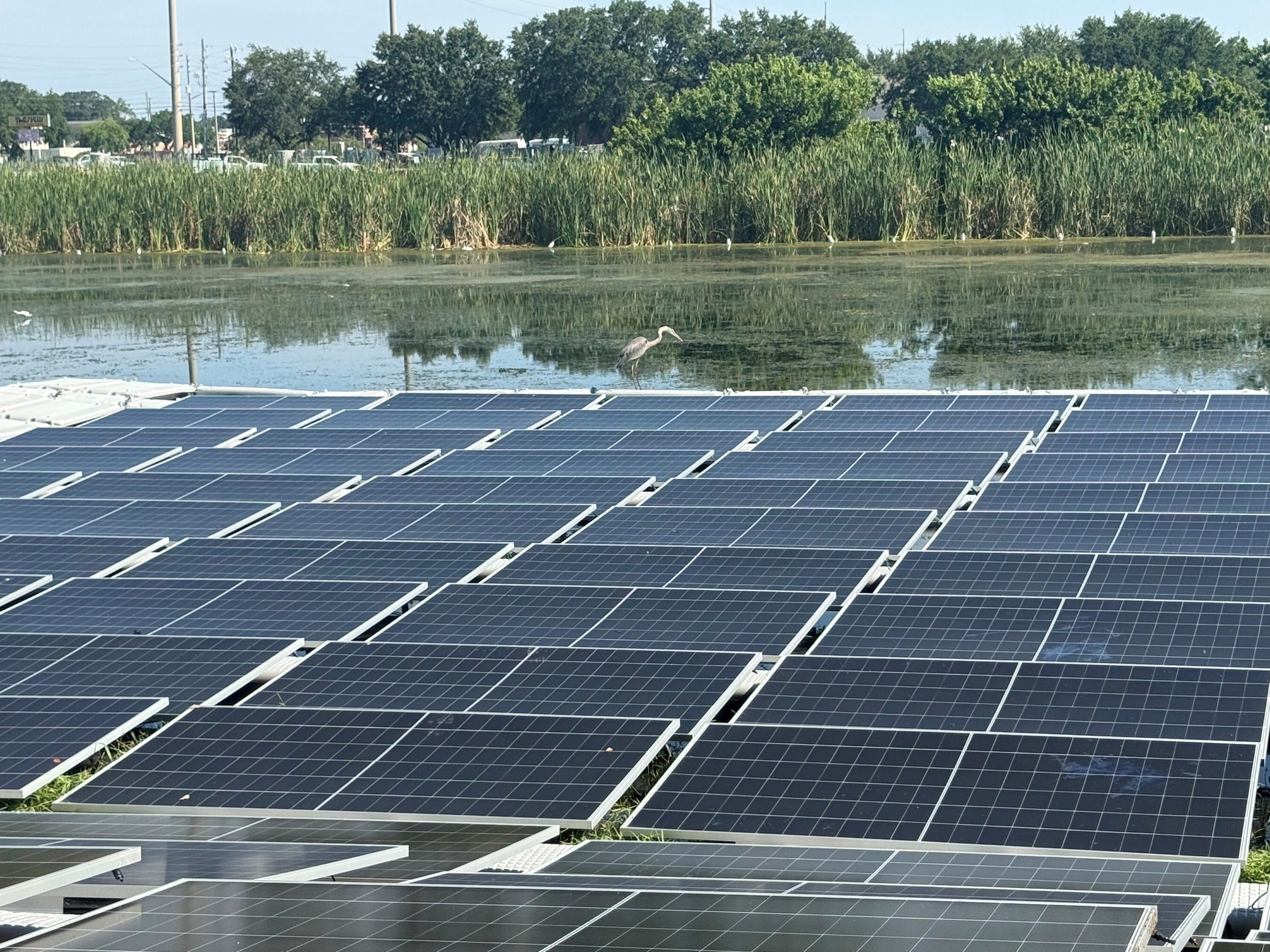 D3Energy NUS Floating Solar Goes to College