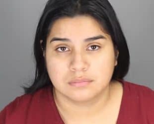 Michigan Woman Charged with 10 Felonies in Real Estate Fraud Schemes