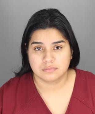Michigan Woman Charged with 10 Felonies in Real Estate Fraud Schemes