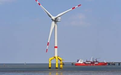 Trump Suspends Leases on 5 Offshore Wind Projects