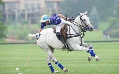 Florida’s Valiente Polo Farm Listed for Sale