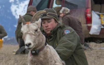 Wyoming Game and Fish Department Seeks $400,000 Cut in Property Taxes