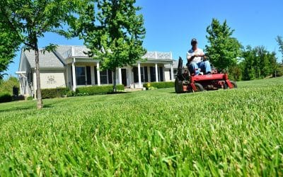 Would You Pay to Improve Your Neighbor’s Yard Before Selling Your Home?