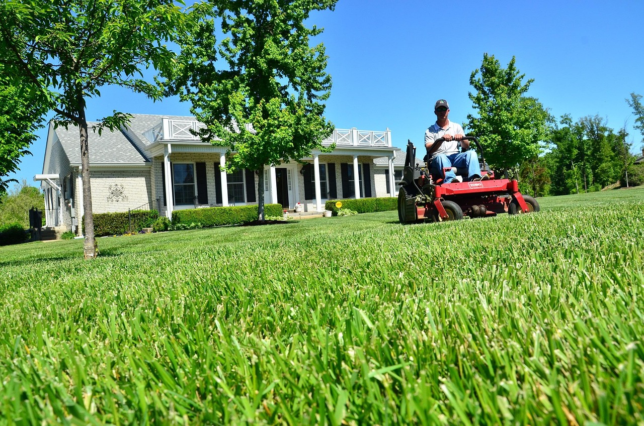 clayton800-lawn-care-643556_1280
