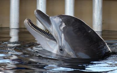 Hits and Misses for the Real Estate Week of March 2-6