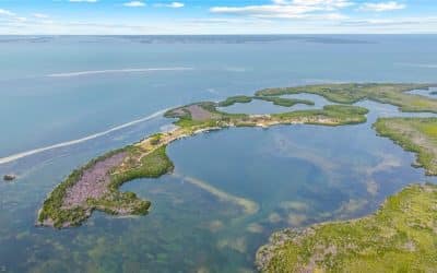 Florida’s Burgess Island Listed for Sale at $89 Million