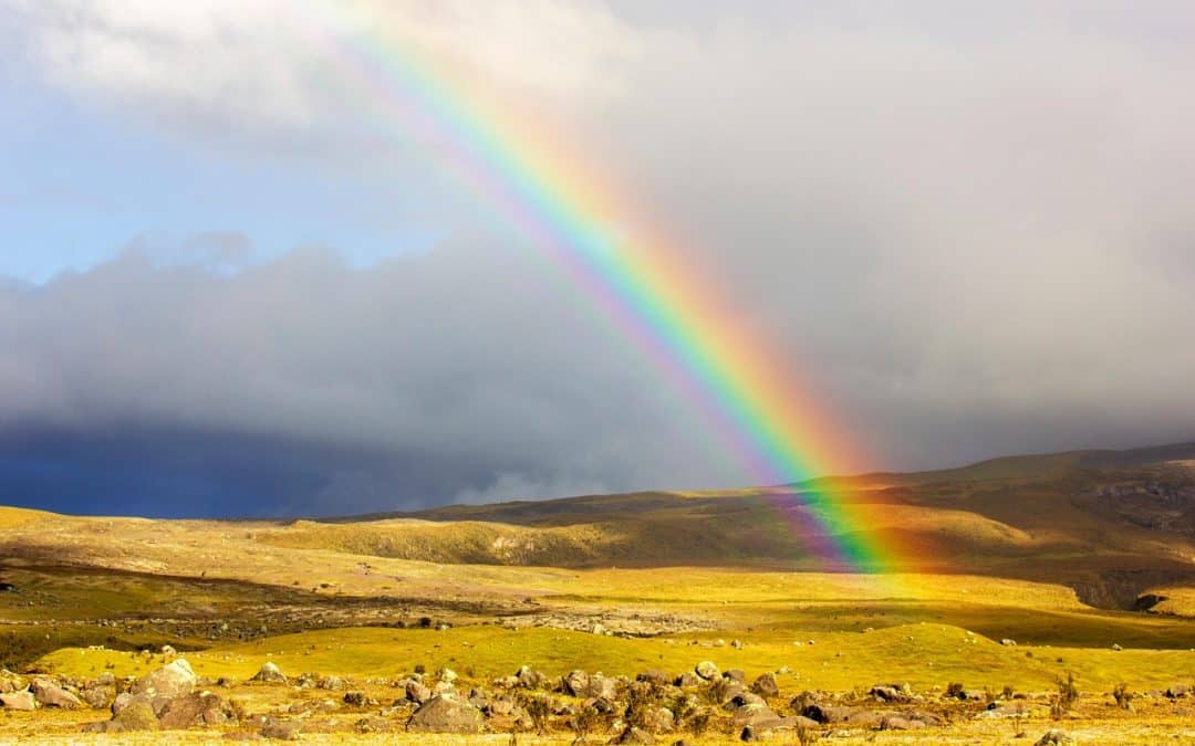 Report: Land Prices Soared 77% Since the Pandemic