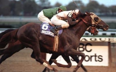 NYC’s Historic Aqueduct Racetrack Closed; Future of 210-Acre Site Uncertain