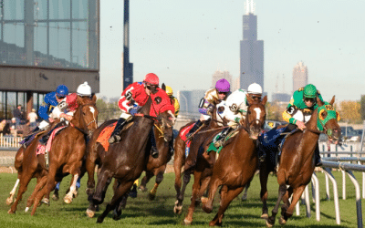 June 26 Bidding Deadline Announced for Historic Chicago-Area Racetrack