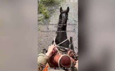 Montana Realtor Criticized for Social Media Post Viewed as Racist Toward Native Americans