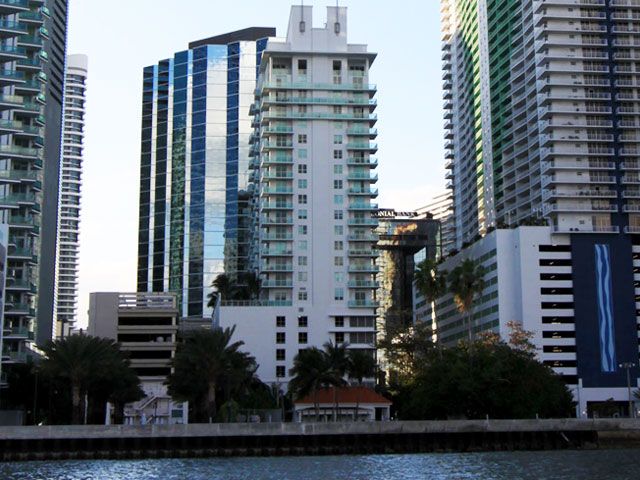 ea_cat_solaris_brickell