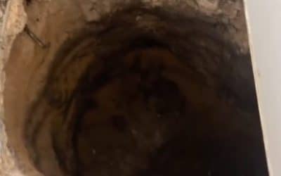 Texas Realtor Opens Garage Door and Falls Into a 5-Foot-Deep Hole