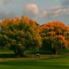 Tree-lined public golf course in the Bronx, New York; illustrative image, not East Potomac
