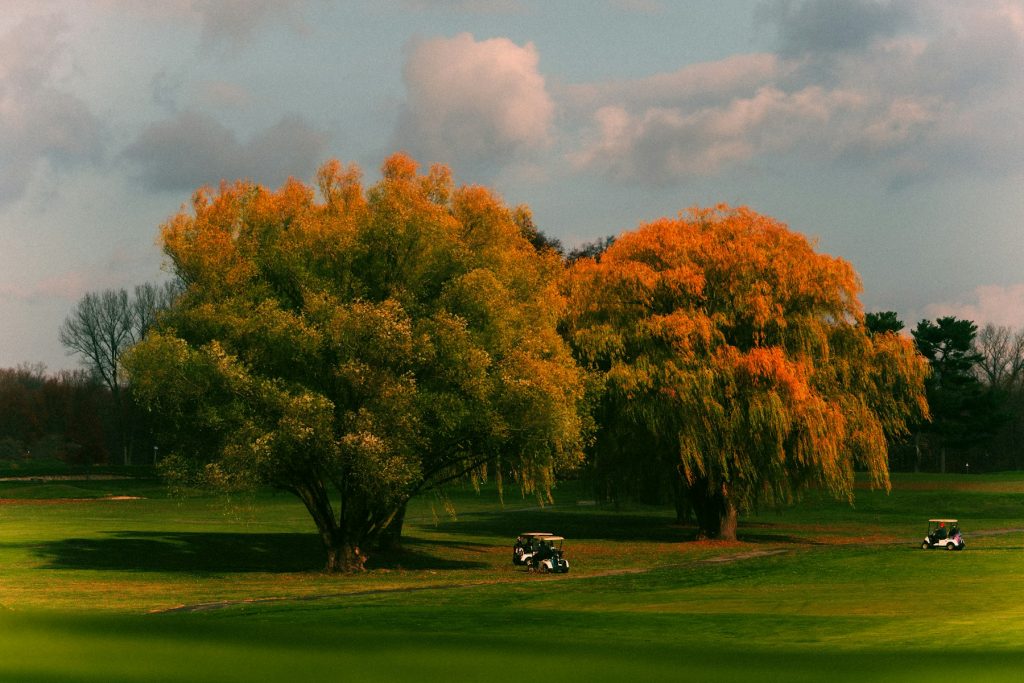 Tree-lined public golf course in the Bronx, New York; illustrative image, not East Potomac