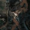 Aerial view of a residential property among trees; illustrative image, not the October 2026 Allendale tornado