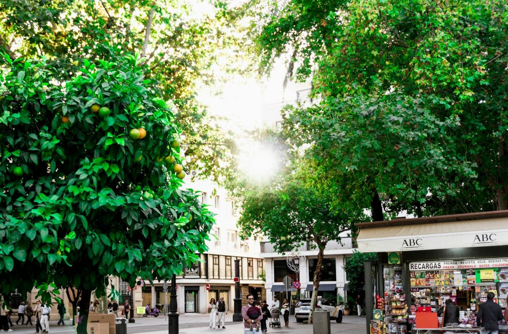 Retail storefronts and pedestrian street, illustrative image for U.S. retail asking rent report