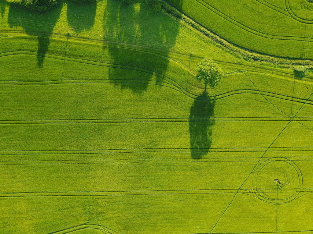 Rural farmland, illustrative