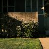 Suburban home with front lawn, illustrative image accompanying national pending home sales report