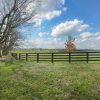 Rural undeveloped land illustrating vacant-lot title fraud; not one of the properties cited in federal charges
