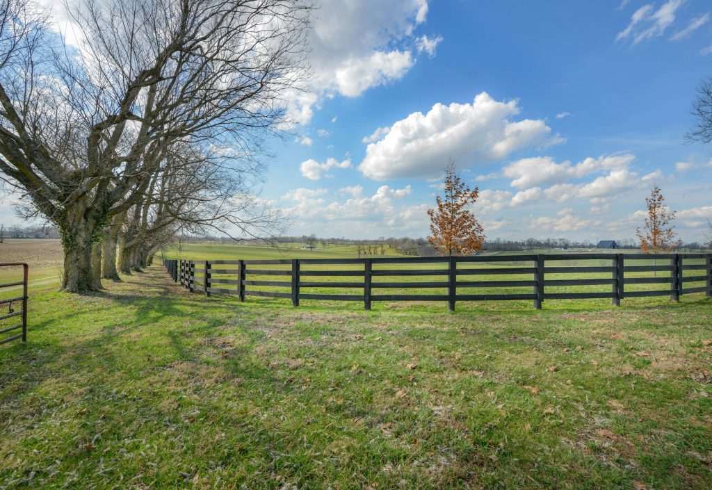 Rural undeveloped land illustrating vacant-lot title fraud; not one of the properties cited in federal charges