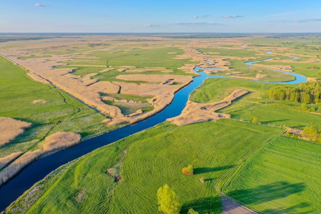 Wetland and meadow landscape illustrating proposed federal wetlands regulations